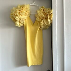 Zara exclusive collection ruffle sleev dress size S